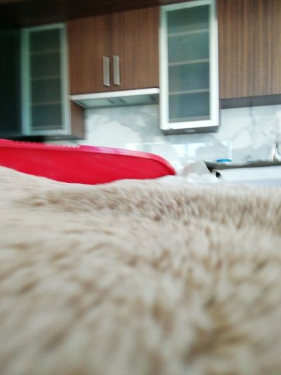companycam_27059543_353024813.jpg